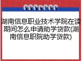 湖南信息职业技术学院在读期间怎么申请助学贷款(湖南信息职院助学贷款)