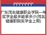 广东茂名健康职业学院一年奖学金最多能拿多少(茂名健康职院奖学金上限)