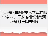 河北建材职业技术学院有哪些专业，王牌专业分析(河北建材王牌专业)