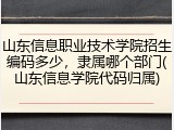 山东信息职业技术学院招生编码多少，隶属哪个部门(山东信息学院代码归属)