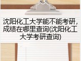 沈阳化工大学能不能考研，成绩在哪里查询(沈阳化工大学考研查询)