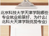 北京科技大学天津学院哪些专业就业前景好，为什么(北科大天津学院优势专业)