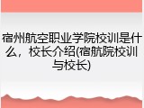 宿州航空职业学院校训是什么，校长介绍(宿航院校训与校长)