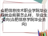合肥信息技术职业学院毕业后就业前景怎么样，毕业生去向(合肥信息学院毕业去向)