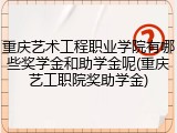 重庆艺术工程职业学院有哪些奖学金和助学金呢(重庆艺工职院奖助学金)