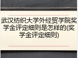 武汉纺织大学外经贸学院奖学金评定细则是怎样的(奖学金评定细则)