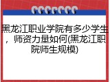 黑龙江职业学院有多少学生，师资力量如何(黑龙江职院师生规模)