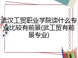 武汉工贸职业学院读什么专业比较有前景(武工贸有前景专业)