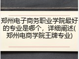 郑州电子商务职业学院最好的专业是哪个，详细阐述(郑州电商学院王牌专业)