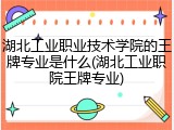 湖北工业职业技术学院的王牌专业是什么(湖北工业职院王牌专业)