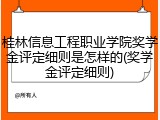 桂林信息工程职业学院奖学金评定细则是怎样的(奖学金评定细则)