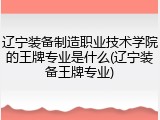 辽宁装备制造职业技术学院的王牌专业是什么(辽宁装备王牌专业)