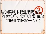 哈尔滨城市职业学院是双一流高校吗，简单介绍(哈尔滨职业学院双一流？)