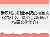 武汉城市职业学院的校园文化是什么，简介(武汉城职校园文化简介)