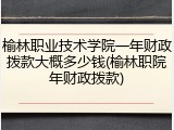榆林职业技术学院一年财政拨款大概多少钱(榆林职院年财政拨款)