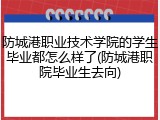 防城港职业技术学院的学生毕业都怎么样了(防城港职院毕业生去向)