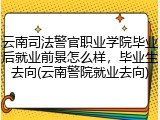 云南司法警官职业学院毕业后就业前景怎么样，毕业生去向(云南警院就业去向)