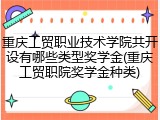 重庆工贸职业技术学院共开设有哪些类型奖学金(重庆工贸职院奖学金种类)