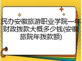 民办安徽旅游职业学院一年财政拨款大概多少钱(安徽旅院年拨款额)