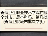 青海卫生职业技术学院在哪个城市，是本科吗，第几批(青海卫院城市批次学历)