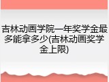 吉林动画学院一年奖学金最多能拿多少(吉林动画奖学金上限)