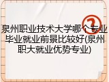 泉州职业技术大学哪个专业毕业就业前景比较好(泉州职大就业优势专业)