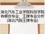 湖北汽车工业学院科技学院有哪些专业，王牌专业分析(湖北汽院王牌专业)