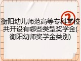 衡阳幼儿师范高等专科学校共开设有哪些类型奖学金(衡阳幼师奖学金类别)