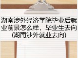 湖南涉外经济学院毕业后就业前景怎么样，毕业生去向(湖南涉外就业去向)