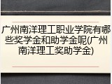 广州南洋理工职业学院有哪些奖学金和助学金呢(广州南洋理工奖助学金)
