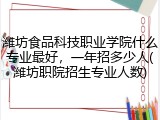 潍坊食品科技职业学院什么专业最好，一年招多少人(潍坊职院招生专业人数)