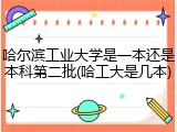 哈尔滨工业大学是一本还是本科第二批(哈工大是几本)