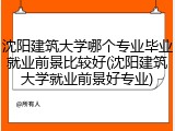 沈阳建筑大学哪个专业毕业就业前景比较好(沈阳建筑大学就业前景好专业)