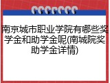南京城市职业学院有哪些奖学金和助学金呢(南城院奖助学金详情)