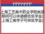 上海工艺美术职业学院就读期间可以申请哪些奖学金(上海工美学子可申奖学金)