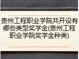 贵州工程职业学院共开设有哪些类型奖学金(贵州工程职业学院奖学金种类)