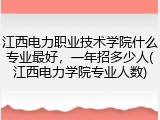江西电力职业技术学院什么专业最好，一年招多少人(江西电力学院专业人数)