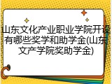 山东文化产业职业学院开设有哪些奖学和助学金(山东文产学院奖助学金)