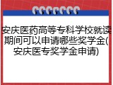 安庆医药高等专科学校就读期间可以申请哪些奖学金(安庆医专奖学金申请)