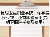 昆明卫生职业学院一年学费多少钱，还有哪些费用(昆明卫职院学费及费用)