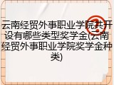 云南经贸外事职业学院共开设有哪些类型奖学金(云南经贸外事职业学院奖学金种类)
