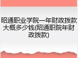 昭通职业学院一年财政拨款大概多少钱(昭通职院年财政拨款)
