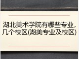 湖北美术学院有哪些专业，几个校区(湖美专业及校区)