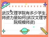 武汉文理学院有多少学生，师资力量如何(武汉文理学院规模师资)