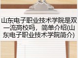 山东电子职业技术学院是双一流高校吗，简单介绍(山东电子职业技术学院简介)