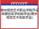 南京视觉艺术职业学院开设有哪些奖学和助学金(南京视觉艺术奖助学金)