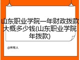 山东职业学院一年财政拨款大概多少钱(山东职业学院年拨款)