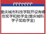 重庆城市科技学院开设有哪些奖学和助学金(重庆城科学子奖助学金)