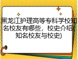 黑龙江护理高等专科学校知名校友有哪些，校史介绍(知名校友与校史)
