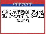 广东东软学院的口碑如何，现在怎么样了(东软学院口碑现状)